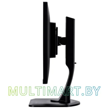 Монитор Iiyama ProLite GB2560HSU-B1 картинка 4